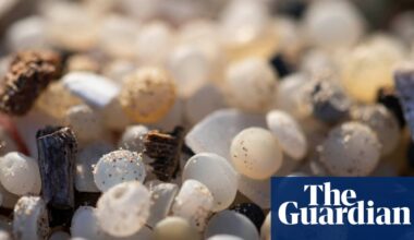 Plastic nurdles found at 84% of UK sites of special scientific interest | Plastics