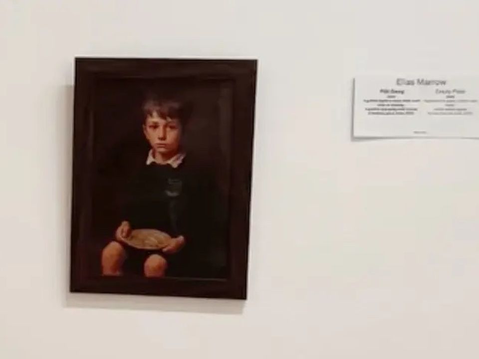 The AI-generated 'Empty Plate'  was viewed by a “few hundred people” before it was removed