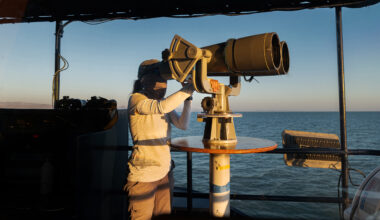 Expert marine mammal researchers used high-powered binoculars called “big eyes” to search for the vaquita porpoises, which are typically hard to see due to their small size and shy nature. Credit: Paula Mosa
