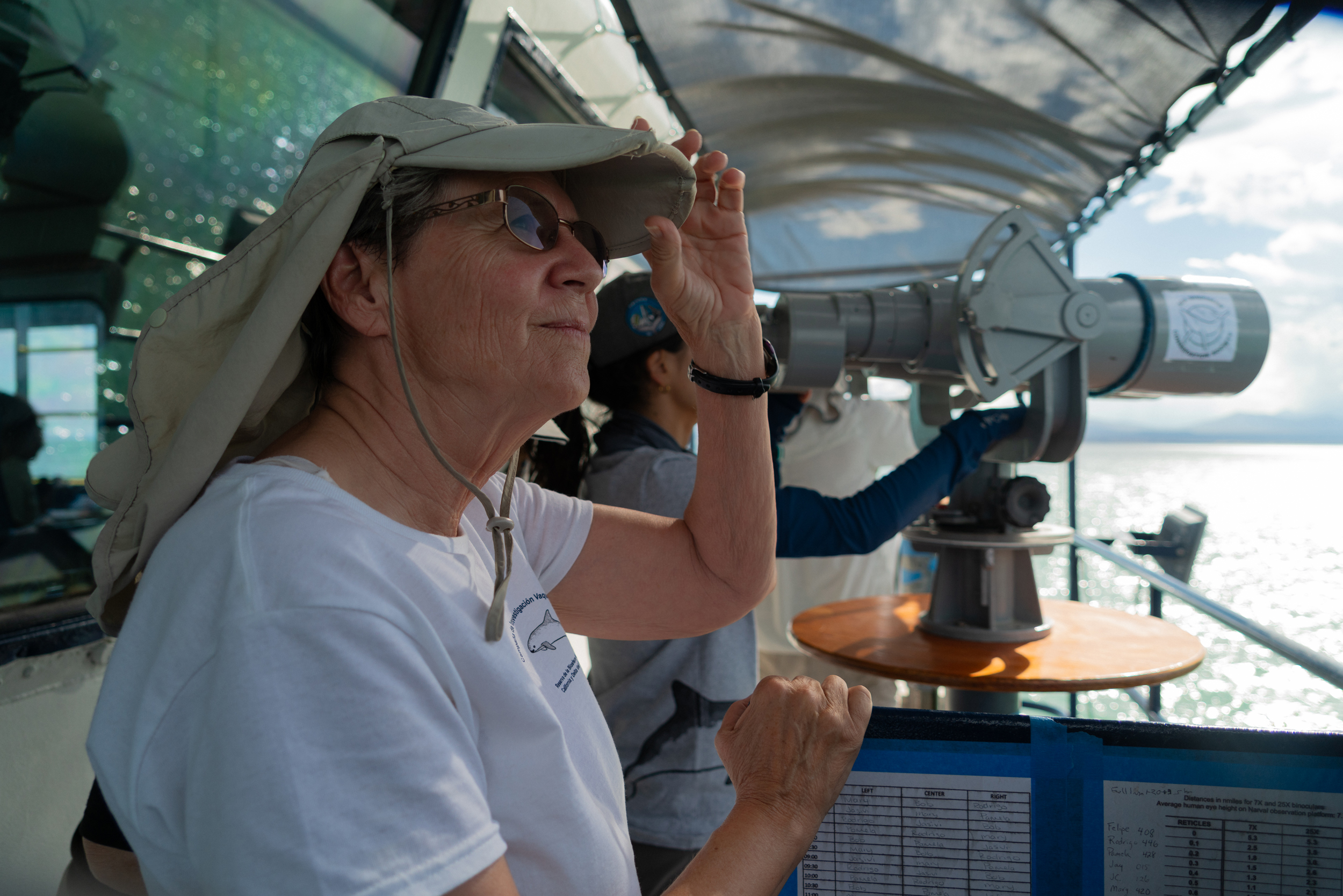 Barbara Taylor, a biologist from Montana, has been monitoring whales, dolphins and porpoises for more than 30 years. In September, she helped lead the annual survey of the critically endangered vaquita porpoise in the Upper Gulf of California. Credit: Victor Gómez