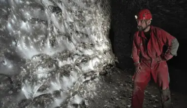 The web stretches for about 1,140 sq ft