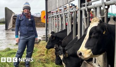 Vets drafted in to help with human health in 'UK first'