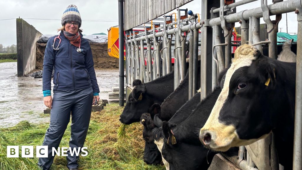 Vets drafted in to help with human health in 'UK first'