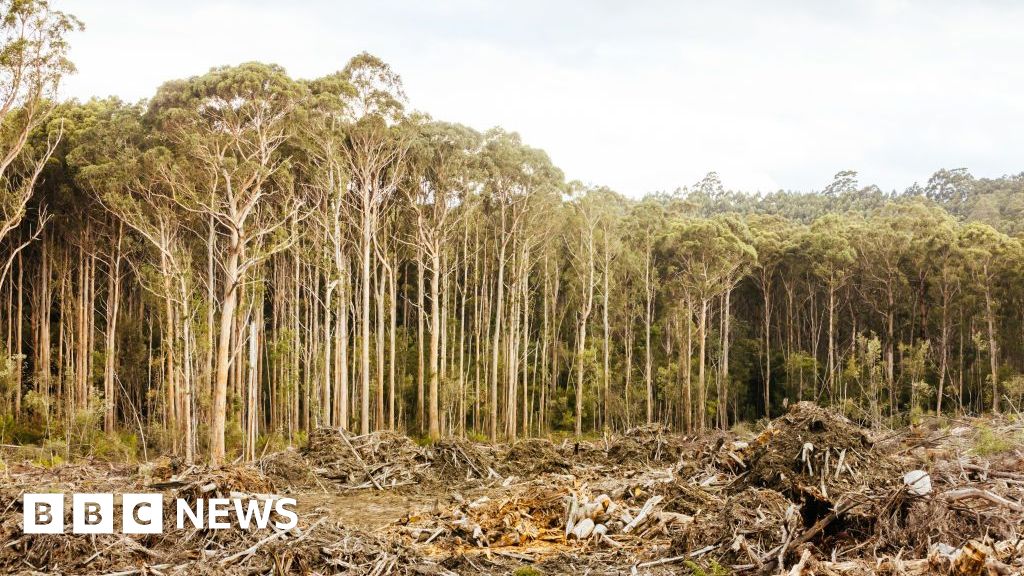 Australian environment laws set for biggest overhaul in decades