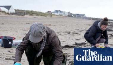 Plastic beads spreading on Sussex coast after ‘catastrophic’ spill, meeting told | Pollution