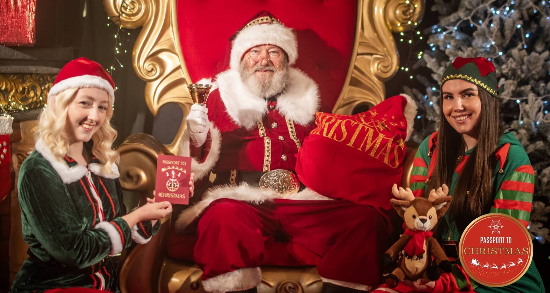 Passport to Christmas at the Irish National Stud & Gardens - Ireland’s newest magical Christmas experience! - Whats On