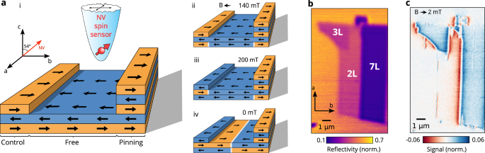 Lateral exchange bias for Néel-vector control in atomically thin antiferromagnets