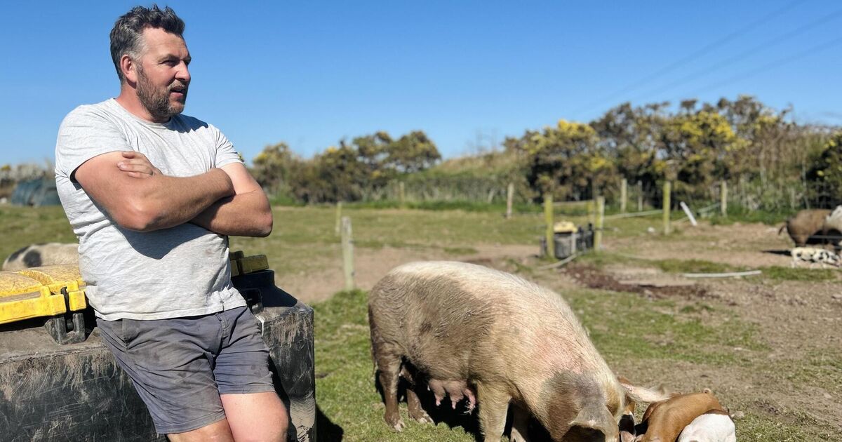 The State must atone for 1980s regulations and save small farms