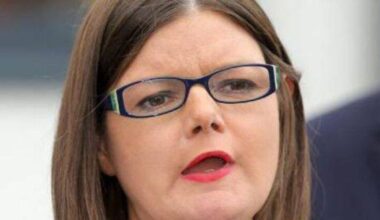 Ex-partner of Sinn Féin MEP Kathleen Funchion appeals severity of sentence on harassment charges