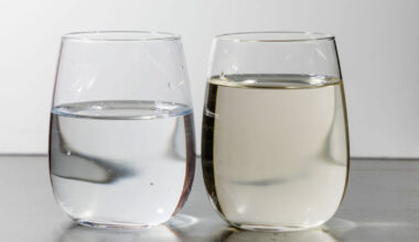 EPA's approval of Uisce Éireann action plan challenged in High Court