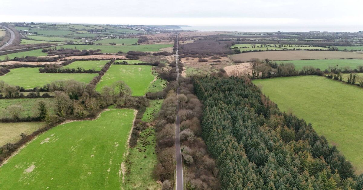 Rogue cyclists knocking down vulnerable pedestrians on Cork greenway, council hears