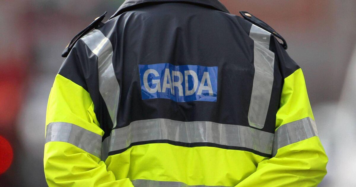 Garda says baton strike on ex-officer was ‘proportionate and justified’ after 140km/h pursuit