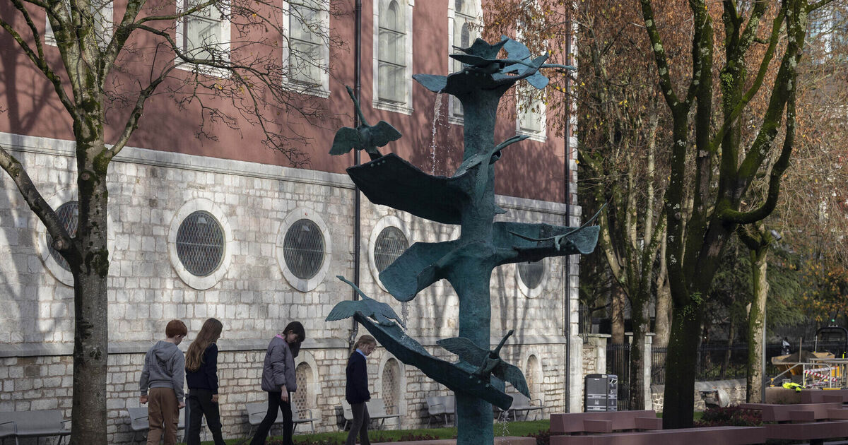 Bishop Lucey Park officially reopens after €7m redevelopment