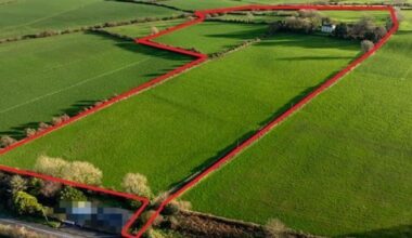 Presbytery offers quality living on 29-acre North Kerry farm