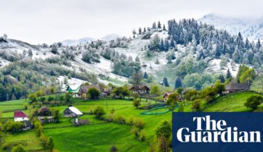 ‘We like it a lot’: how Romania created the largest deposit return scheme in the world | Environment