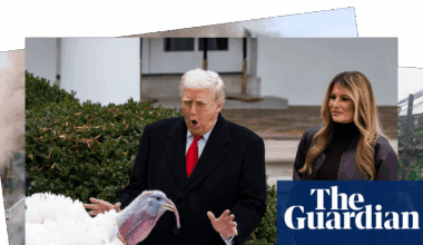 Trump pardons Gobble and stranded beluga whales: photos of the day – Wednesday - The Guardian