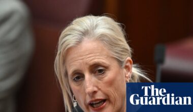 Australian government could explore using AI for cabinet submissions despite security concerns | Australian politics