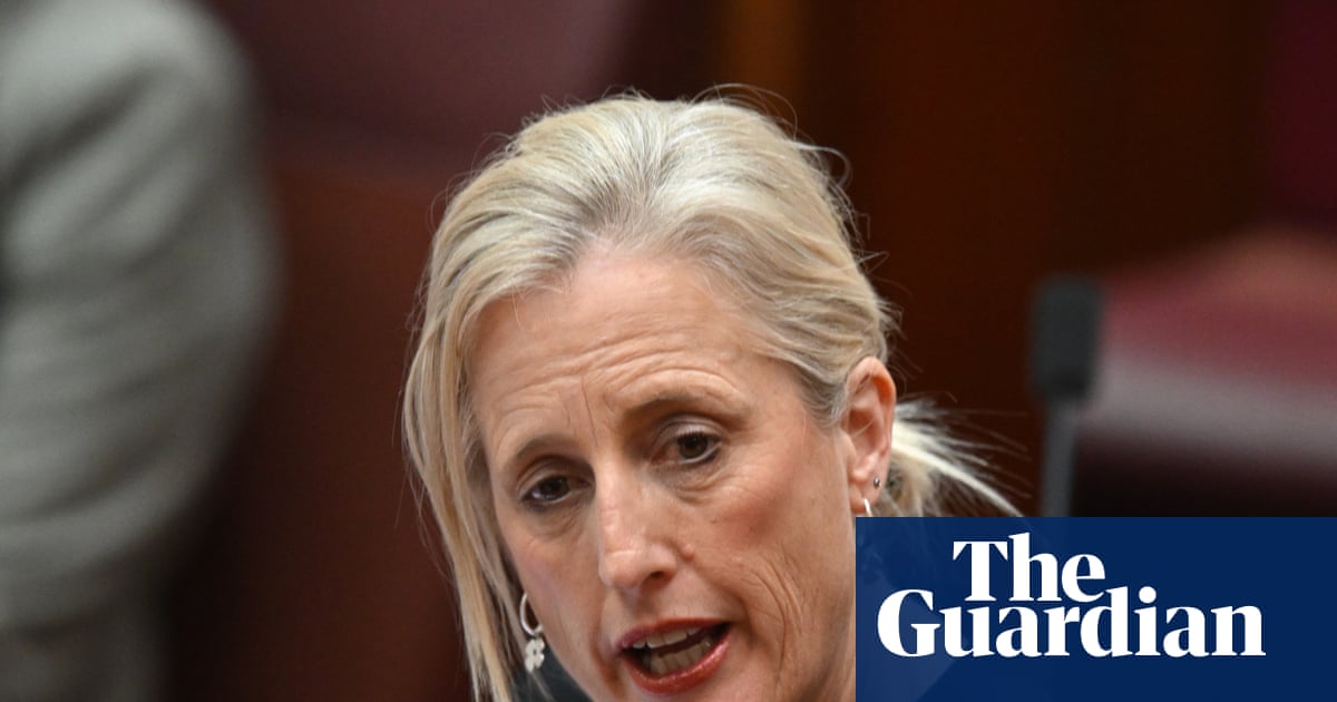 Australian government could explore using AI for cabinet submissions despite security concerns | Australian politics