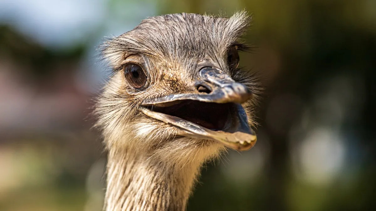 Yahoo lifestyle home