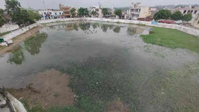 62.5% of Punjab’s groundwater contaminated with uranium: Report