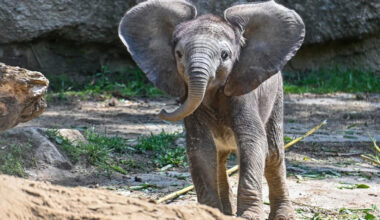 Yahoo lifestyle home