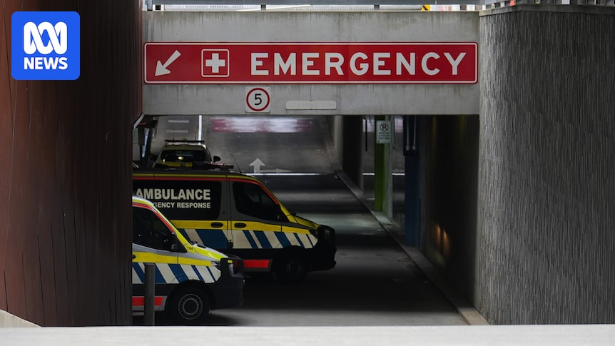 Emergency department wait times for mental health patients stretching over 23 hours, report finds