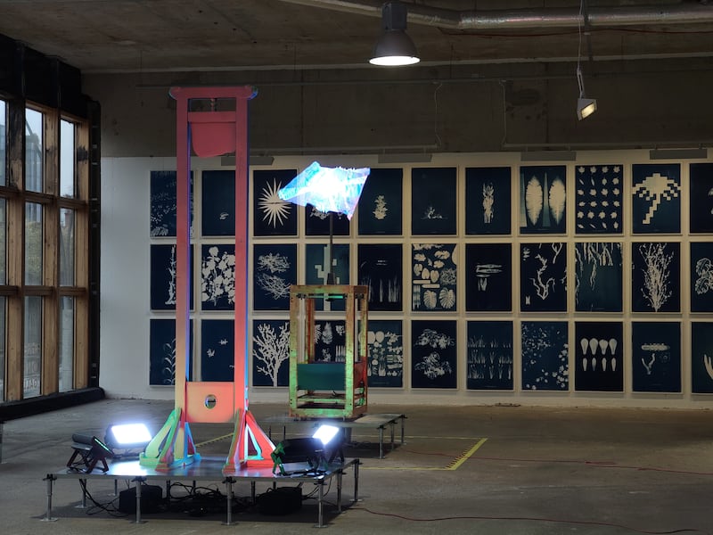 Assets: Vanitas (foreground), Pneuma (centre) and 33 Cyanotypes (background)