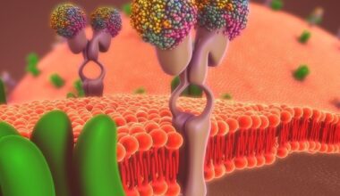 Five-year project seeks new weapons against drug-resistant bacteria