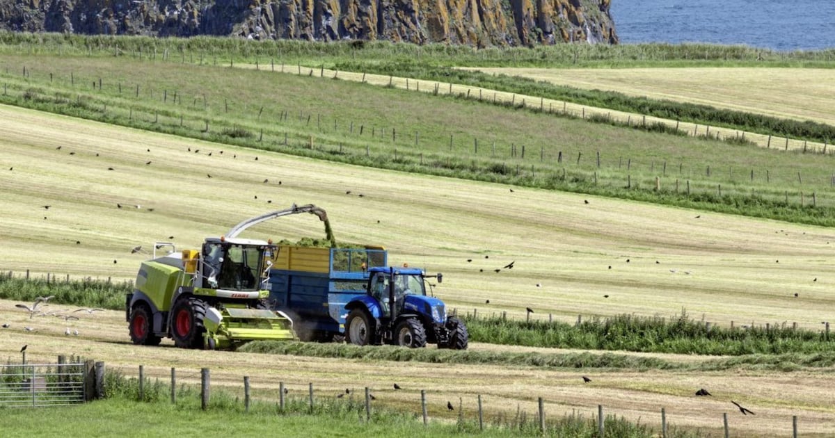 Northern Ireland’s rural women at ‘disproportionate risk’ from climate change carbon budgets, warns campaign group – The Irish News