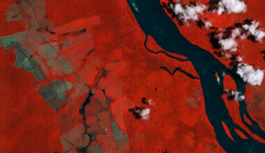 Ahead of the 30th UN Climate Change Conference of the Parties (COP30) taking place in Belém, Brazil, from 10-21 November, this IRIDE image shows the Branco River and its surrounding forests in the Brazilian state of Roraima.