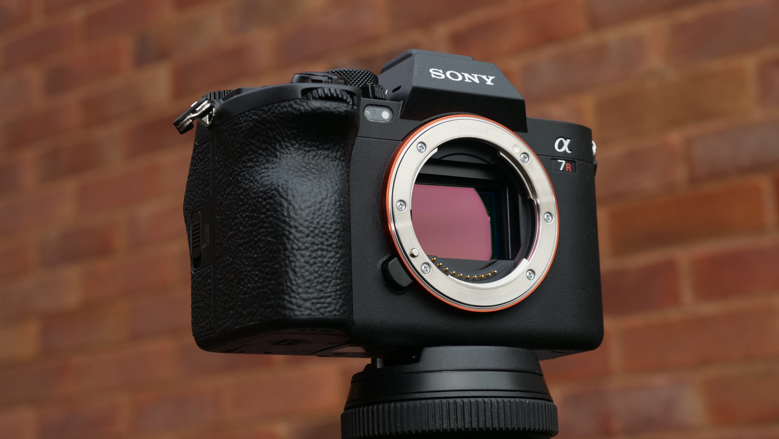Sony A7R V in front of red brick wall