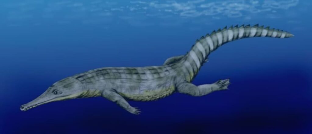 Guarinisuchus_munizi