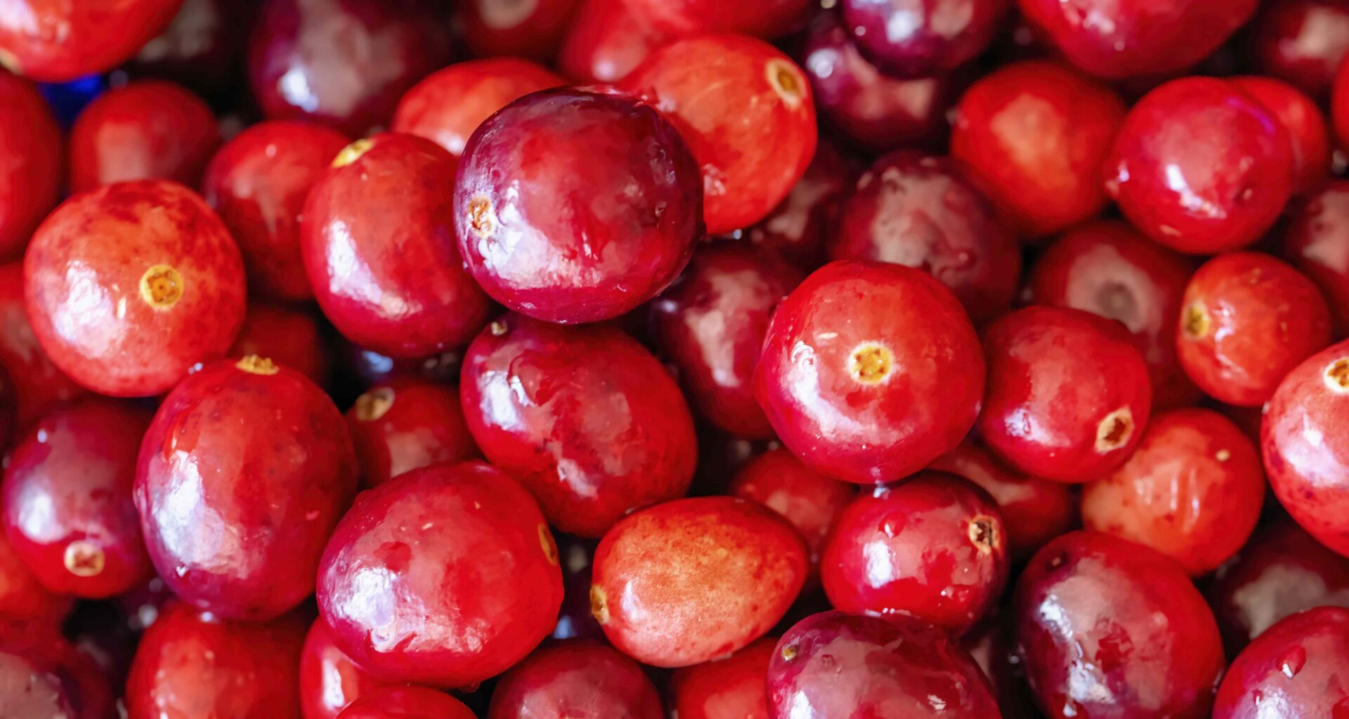 6 Foods With More Antioxidants That Cranberries