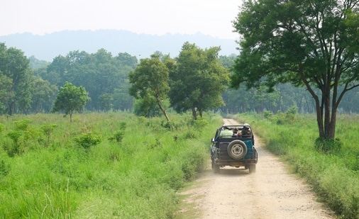 A user’s post about a guide’s behaviour in front of foreign guests at Jim Corbett has angered social media users. (Representational image). (Unsplash)
