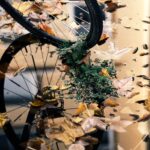 KODAK EKTAR 100 Film Simulation Recipe – Reinventing Color with FUJIFILM