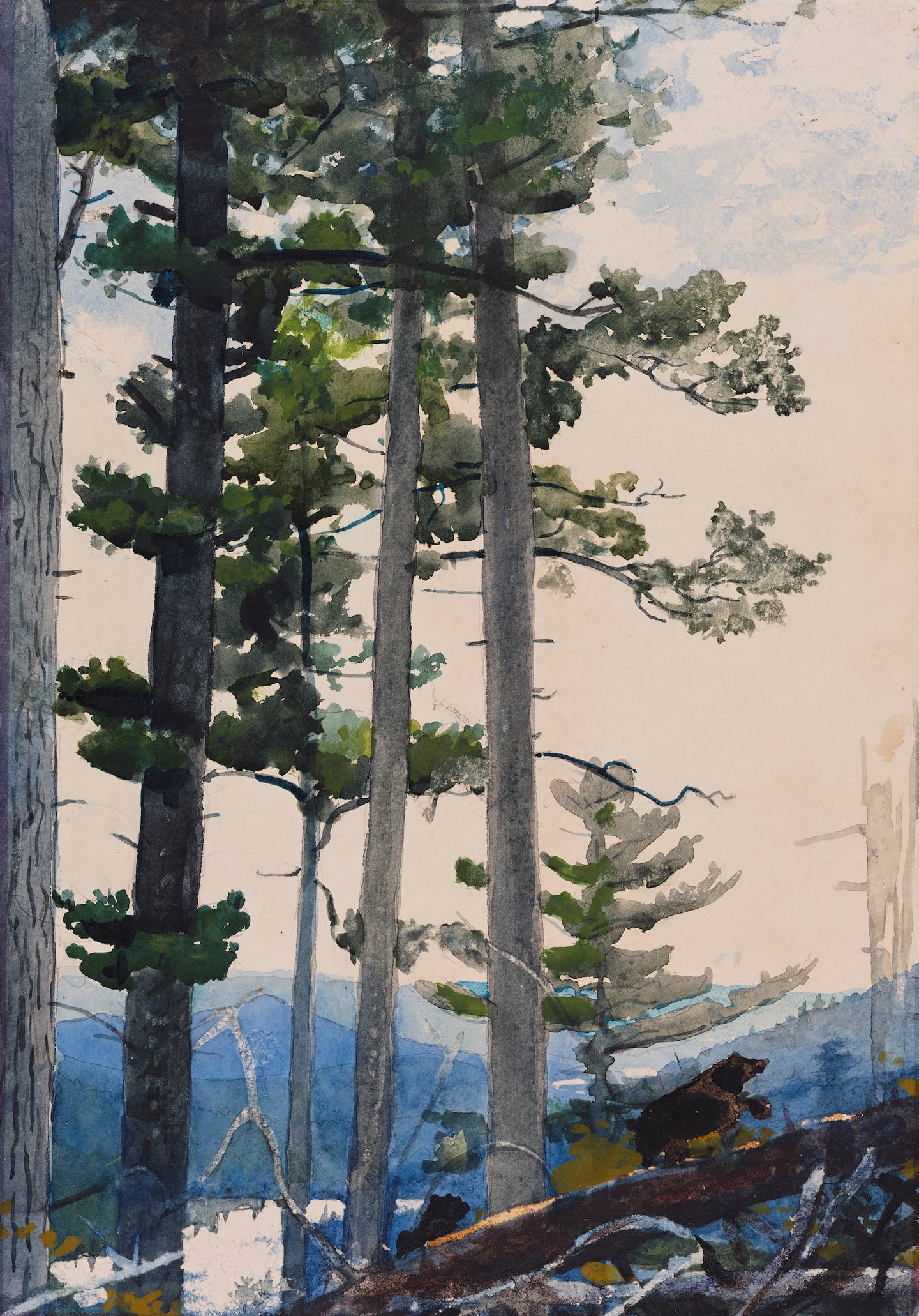 Winslow Homer, "Old Settlers," 1892.
