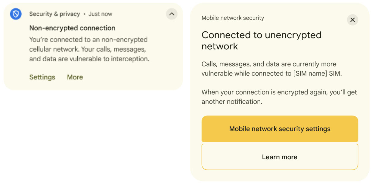 Notification for connection to unencrypted cellular network