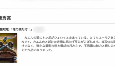 AI-generated picture of a dragonfly landing on a frog's head