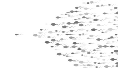 Scientists catch sperm ignoring a major law of physics