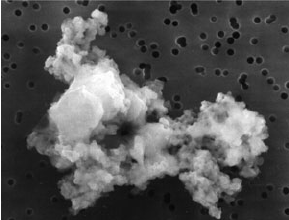 Scanning electron microscope image of a interplanetary dust particle. Credit - NASA