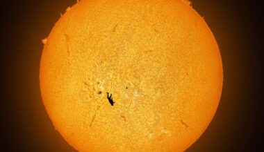 Skydiver Falls In Front Of The Sun And A Photographer Captures The Most Insane Solar Image Ever