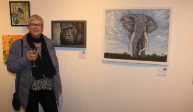 PHOTOS: Exploring ‘Nature’s Palette’ At New Tralee Art Group Exhibition In Siamsa