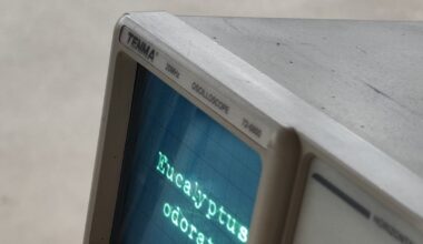 With Assets, Alan Butler challenges the forces of predatory capitalism – The Irish Times