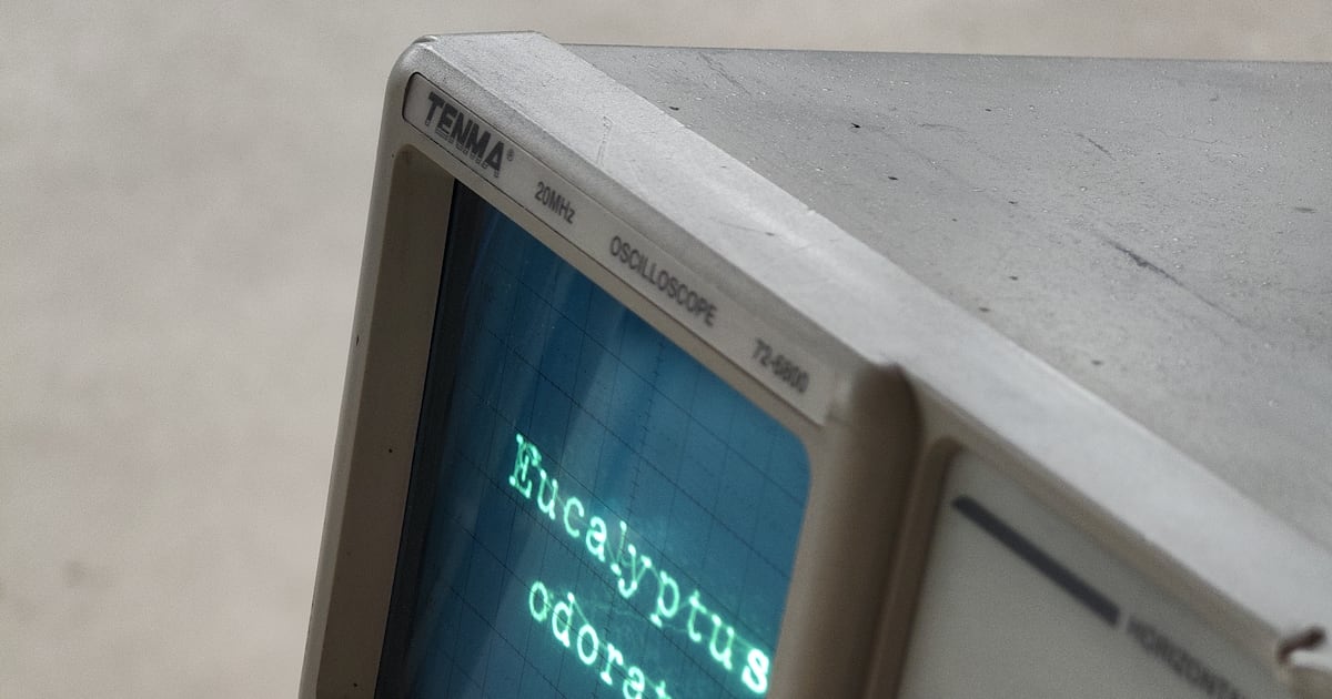 With Assets, Alan Butler challenges the forces of predatory capitalism – The Irish Times