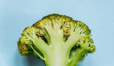The Healthiest Way To Cook Broccoli for Maximum Antioxidants