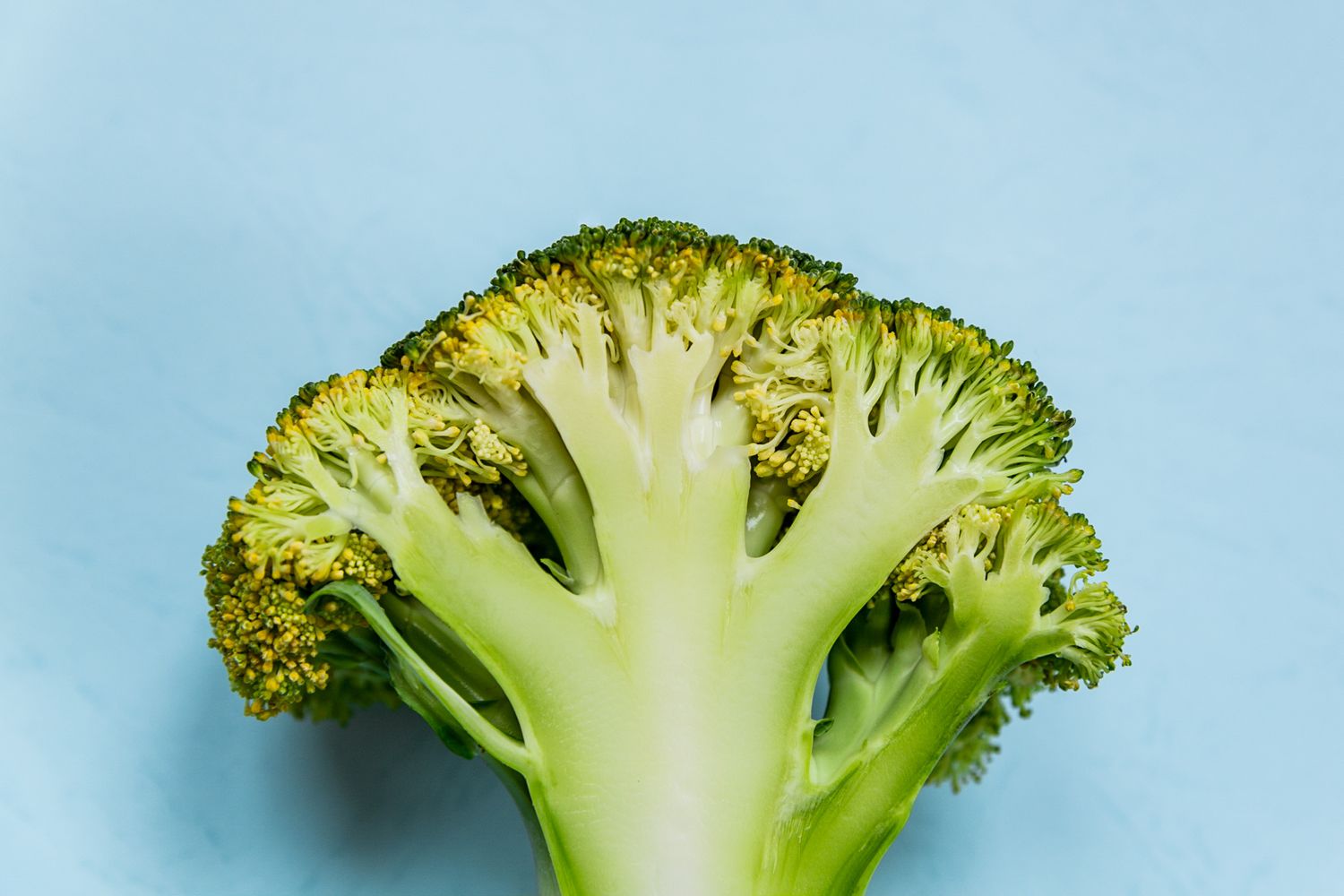The Healthiest Way To Cook Broccoli for Maximum Antioxidants