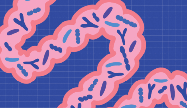 What Happens When You Take Probiotics Every Day