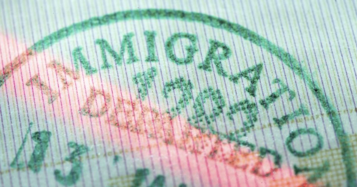 Forty five adults and seven children deported from Ireland to Georgia – The Irish Times