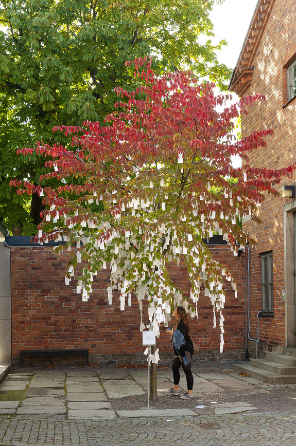 Tree adorned with hanging tags in a courtyard near brick buildings, featuring vibrant red and green leaves.