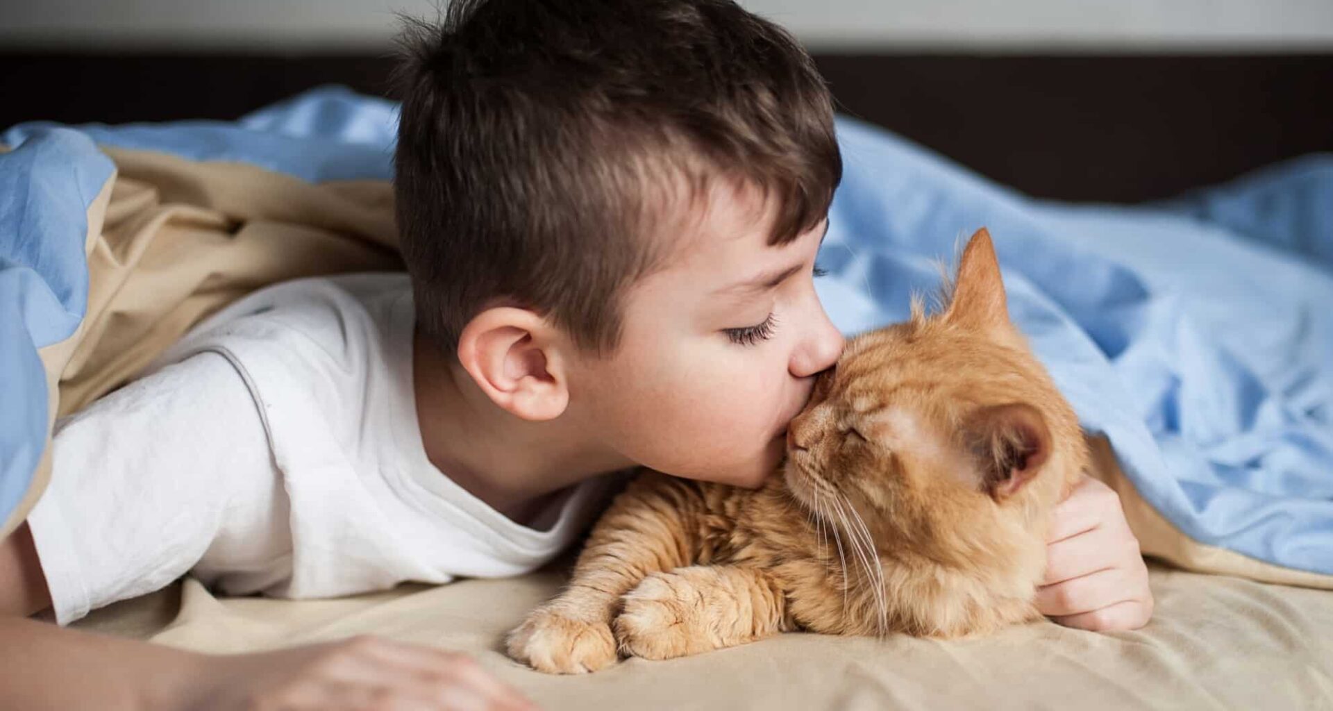 Boy Kisses A Ginger Cat On A Bed